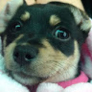 Meet your Posher, Arielle